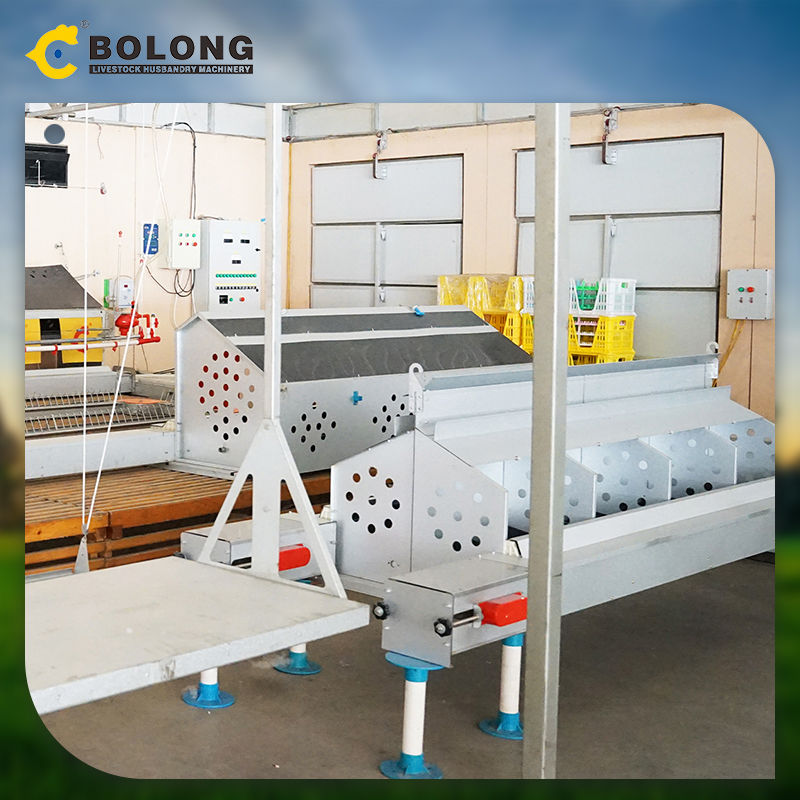 <h3>Egg Production Equipment | Egg Housing | Feeding | Collection</h3>
